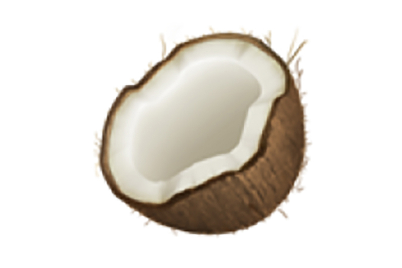 171012 Food Emoji Coconut 2