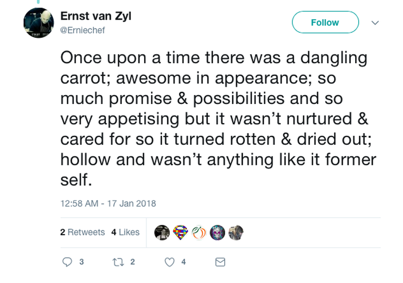 Ernst Van Zyl Twitter 2