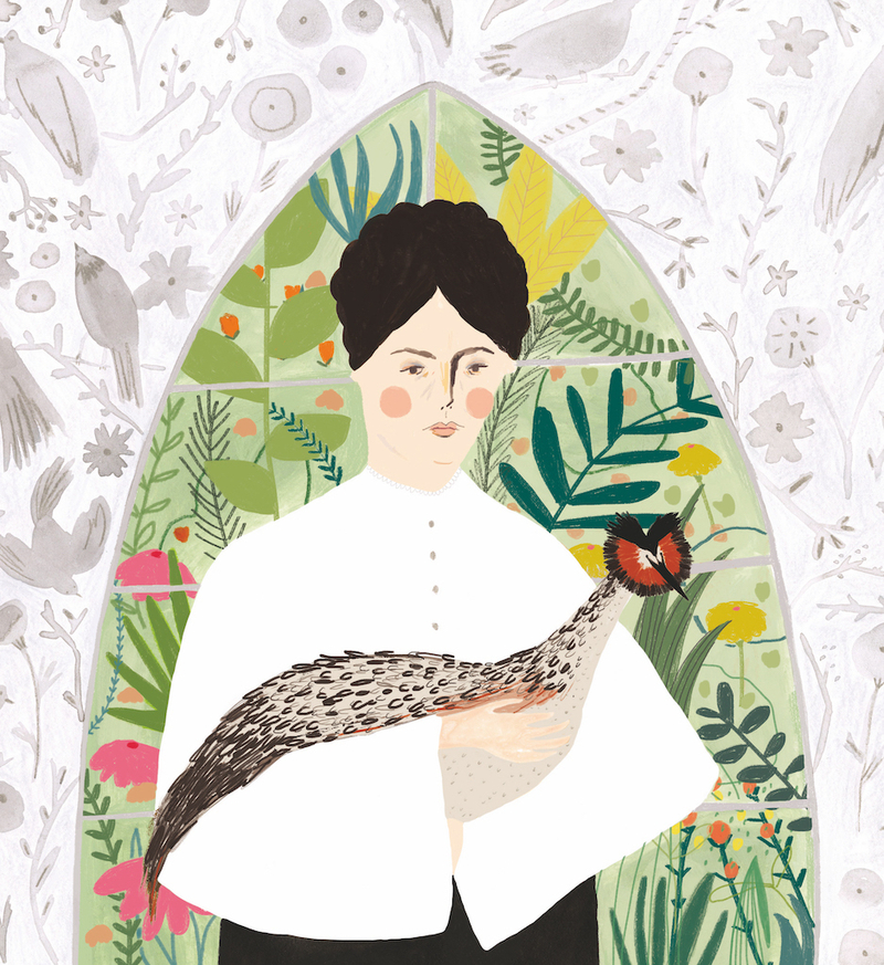 2019 12 02 First In The Fight Illustration Emily Williamson By Sarah Wilson